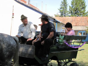 IMG 0018