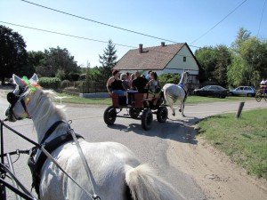 IMG 0043