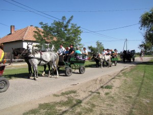 IMG 0045