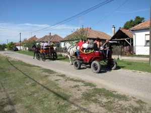 IMG 0046