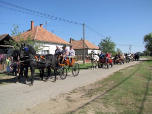 IMG 0047