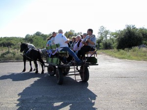 IMG 0079