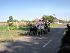 IMG 0081